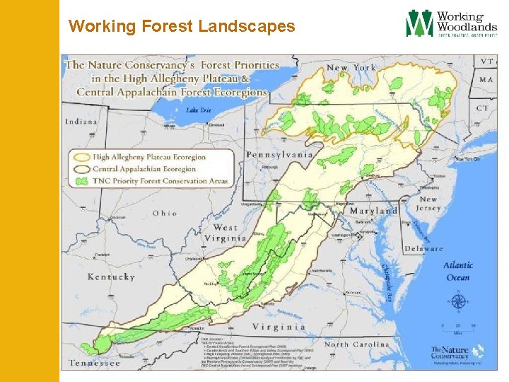 Working Forest Landscapes 