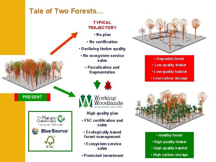 Tale of Two Forests… TYPICAL TRAJECTORY • No plan • No certification • Declining