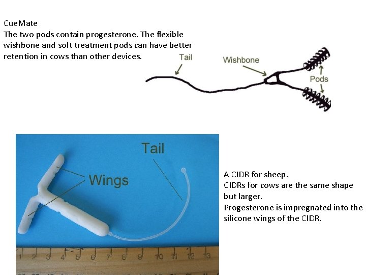 Cue. Mate The two pods contain progesterone. The flexible wishbone and soft treatment pods