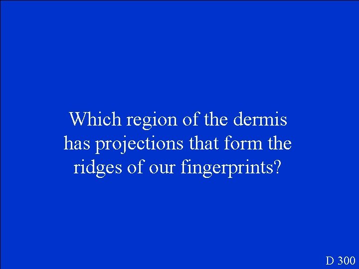 Which region of the dermis has projections that form the ridges of our fingerprints?