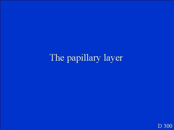 The papillary layer D 300 
