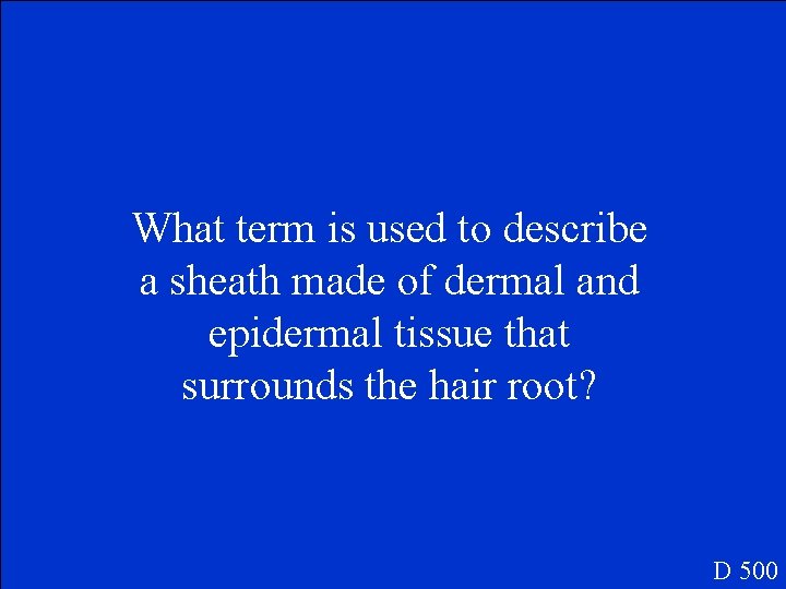 What term is used to describe a sheath made of dermal and epidermal tissue