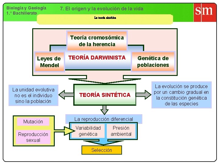 Biología y Geología 1. º Bachillerato 7. El origen y la evolución de la