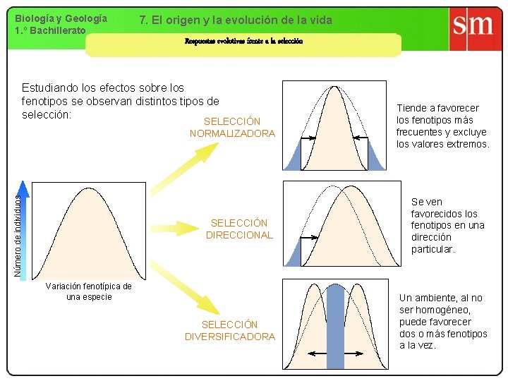 Biología y Geología 1. º Bachillerato 7. El origen y la evolución de la