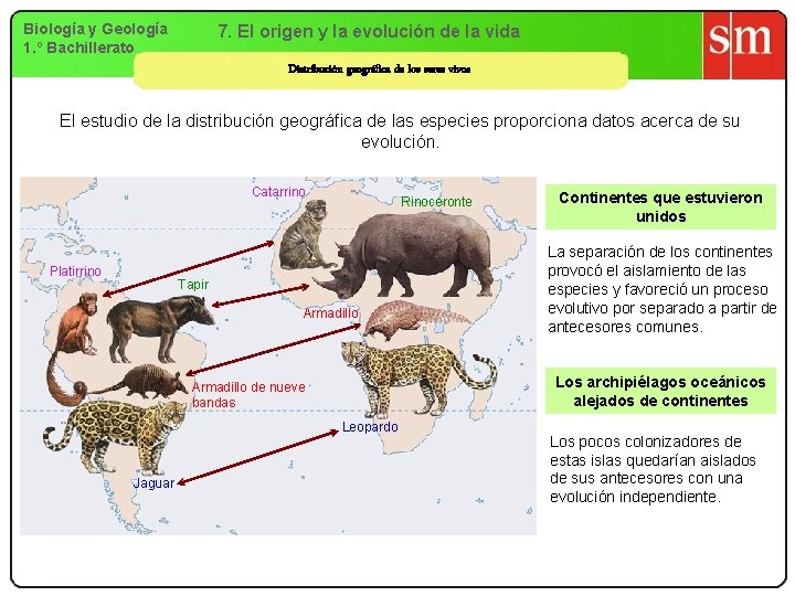 Biología y Geología 1. º Bachillerato 7. El origen y la evolución de la