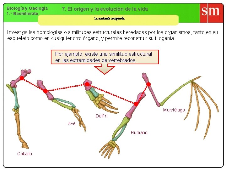 Biología y Geología 1. º Bachillerato 7. El origen y la evolución de la