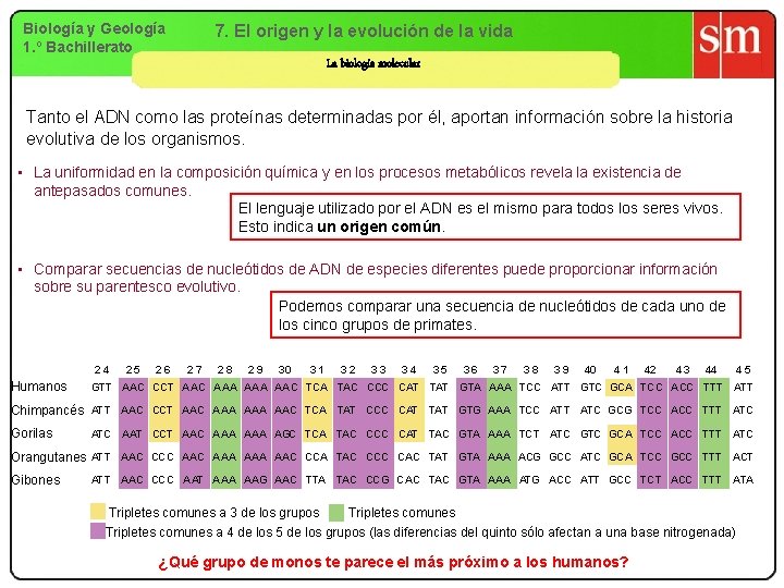 Biología y Geología 1. º Bachillerato 7. El origen y la evolución de la