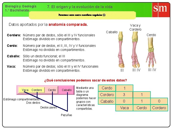 Biología y Geología 1. º Bachillerato 7. El origen y la evolución de la