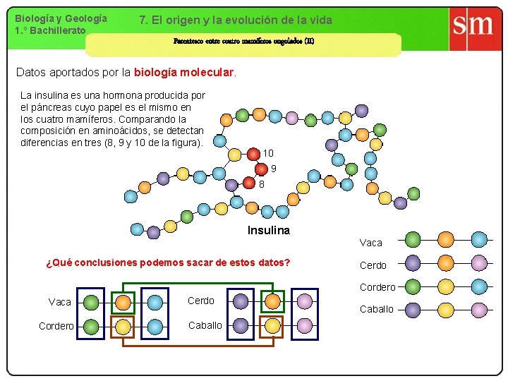 Biología y Geología 1. º Bachillerato 7. El origen y la evolución de la Biología y Geología 1. º Bachillerato 7. El origen y la evolución de la