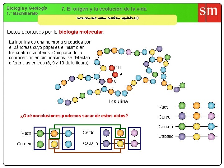 Biología y Geología 1. º Bachillerato 7. El origen y la evolución de la