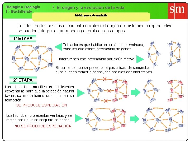 Biología y Geología 1. º Bachillerato 7. El origen y la evolución de la