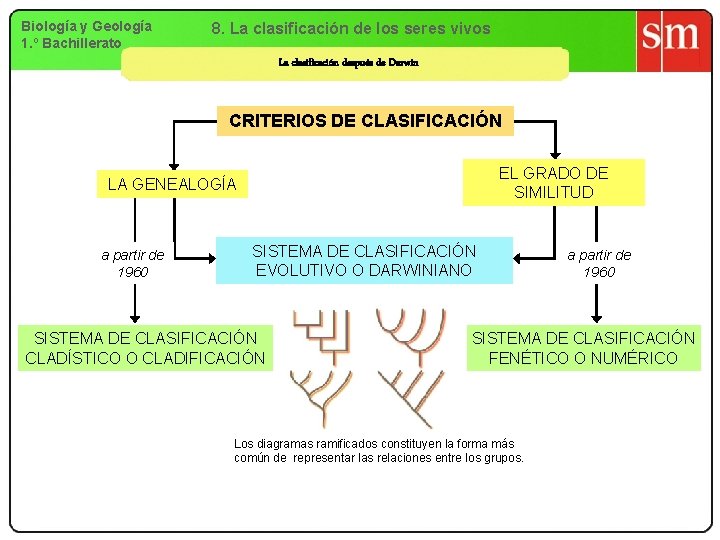Biología y Geología 1. º Bachillerato 8. La clasificación de los seres vivos La Biología y Geología 1. º Bachillerato 8. La clasificación de los seres vivos La