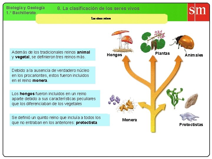 Biología y Geología 1. º Bachillerato 8. La clasificación de los seres vivos Los