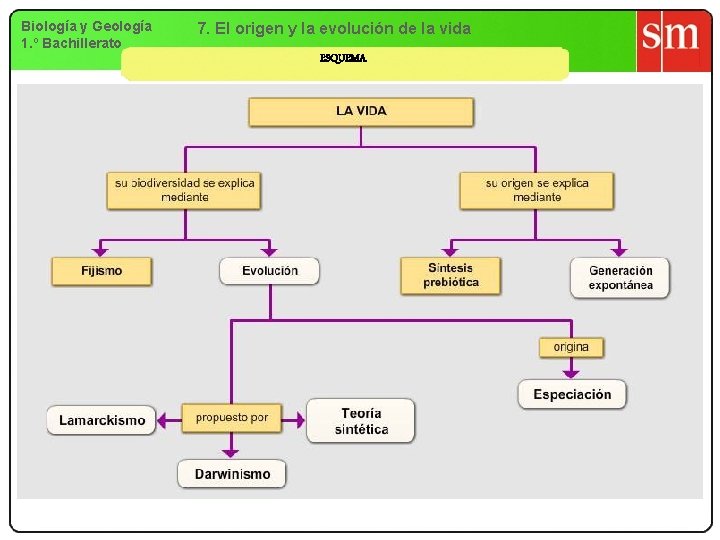 Biología y Geología 1. º Bachillerato 7. El origen y la evolución de la Biología y Geología 1. º Bachillerato 7. El origen y la evolución de la