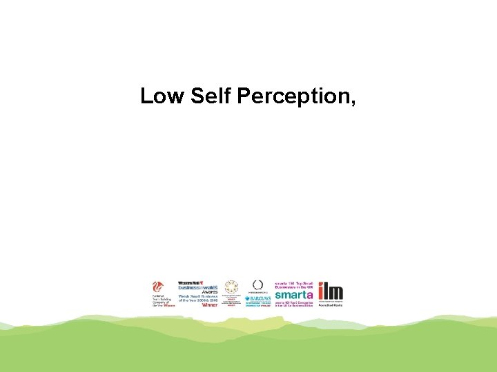 Low Self Perception, 