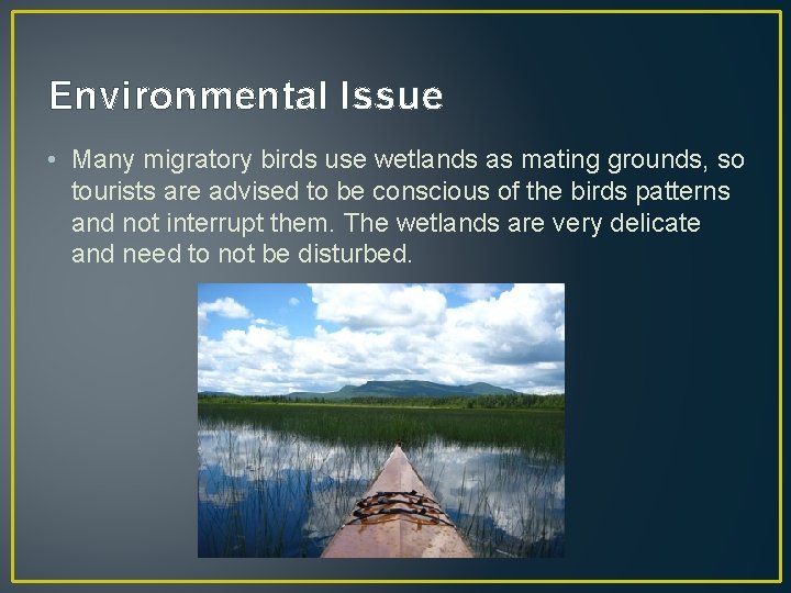 Environmental Issue • Many migratory birds use wetlands as mating grounds, so tourists are