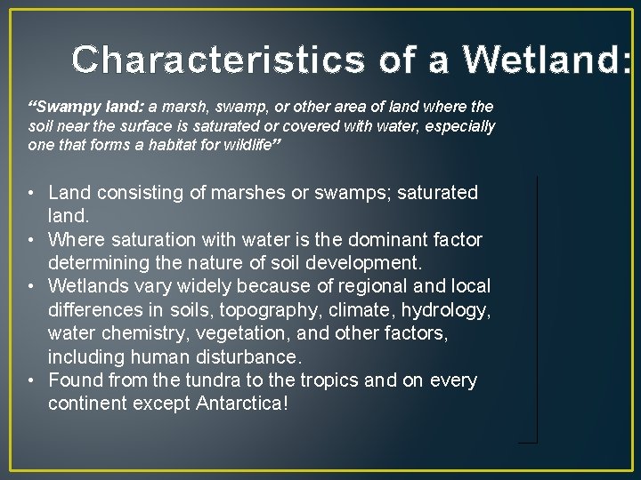 Characteristics of a Wetland: “Swampy land: a marsh, swamp, or other area of land