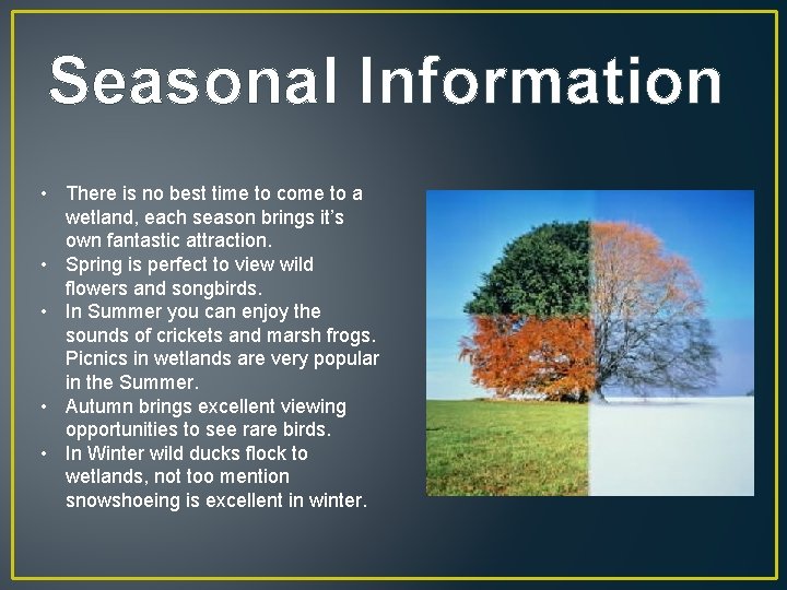 Seasonal Information • There is no best time to come to a wetland, each
