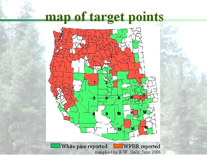 map of target points White pine reported WPBR reported complied by B. W. Geils,