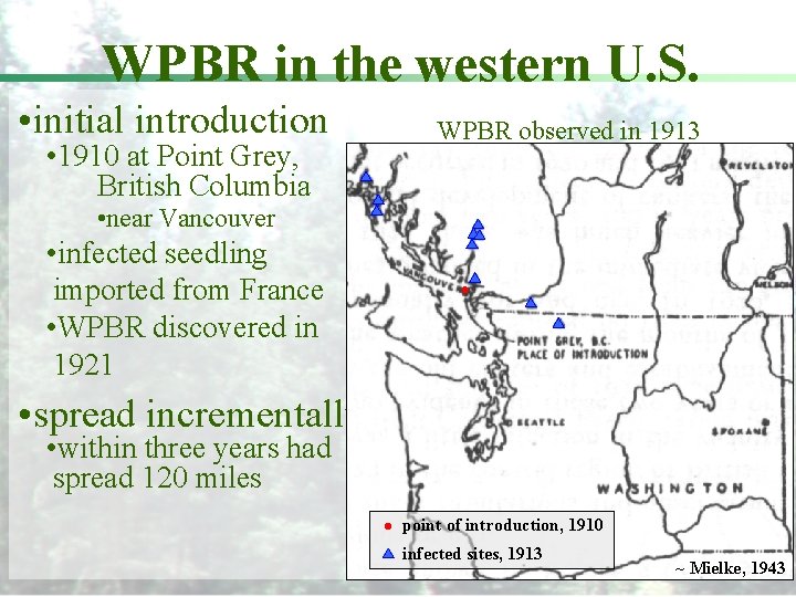 WPBR in the western U. S. • initial introduction • 1910 at Point Grey,