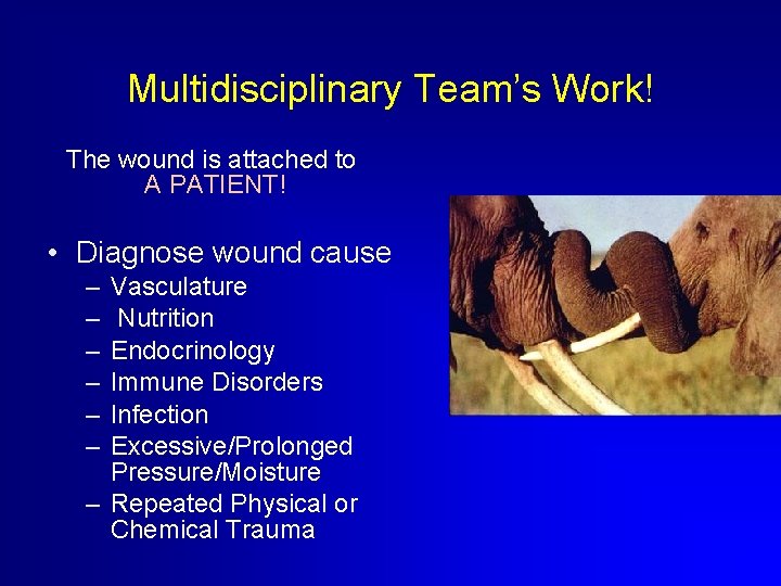 Multidisciplinary Team’s Work! The wound is attached to A PATIENT! • Diagnose wound cause
