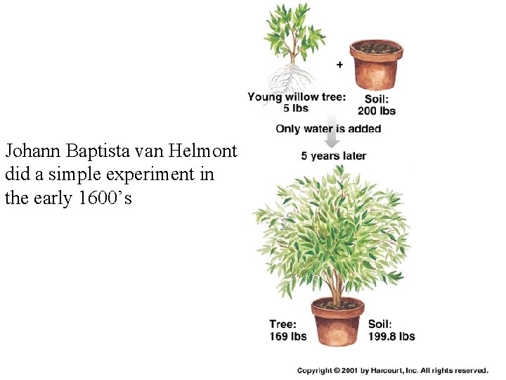 Johann Baptista van Helmont did a simple experiment in the early 1600’s 