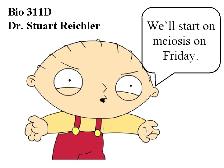 Bio 311 D Dr. Stuart Reichler We’ll start on meiosis on Friday. 