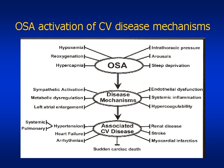 OSA activation of CV disease mechanisms 