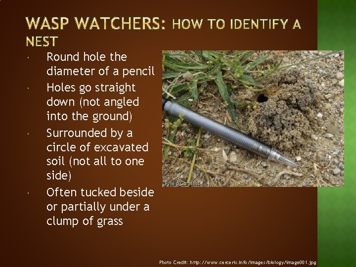  Round hole the diameter of a pencil Holes go straight down (not angled