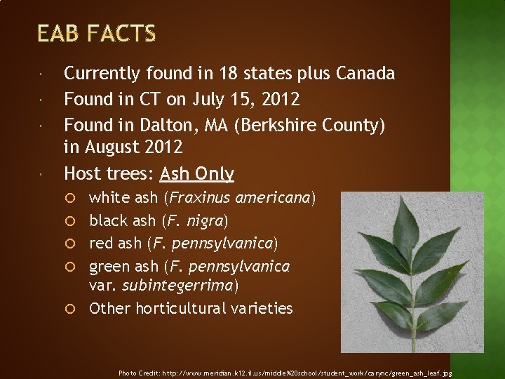  Currently found in 18 states plus Canada Found in CT on July 15,