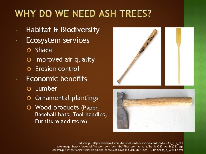  Habitat & Biodiversity Ecosystem services Shade Improved air quality Erosion control Economic benefits