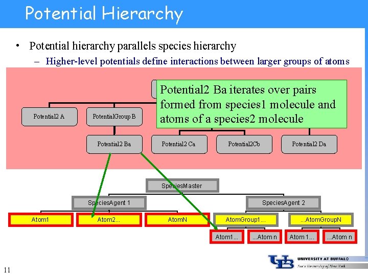 Potential Hierarchy • Potential hierarchy parallels species hierarchy – Higher-level potentials define interactions between