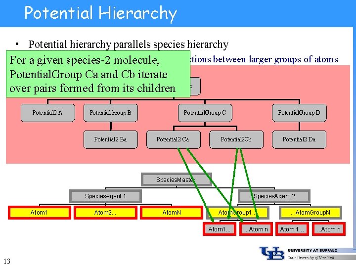 Potential Hierarchy • Potential hierarchy parallels species hierarchy Higher-level potentials define interactions between larger