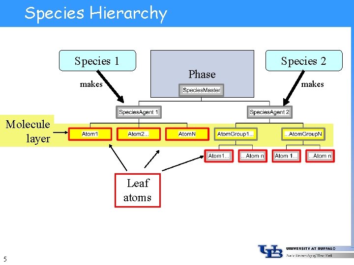 Species Hierarchy Species 1 Species 2 Phase makes Molecule layer Leaf atoms 5 makes