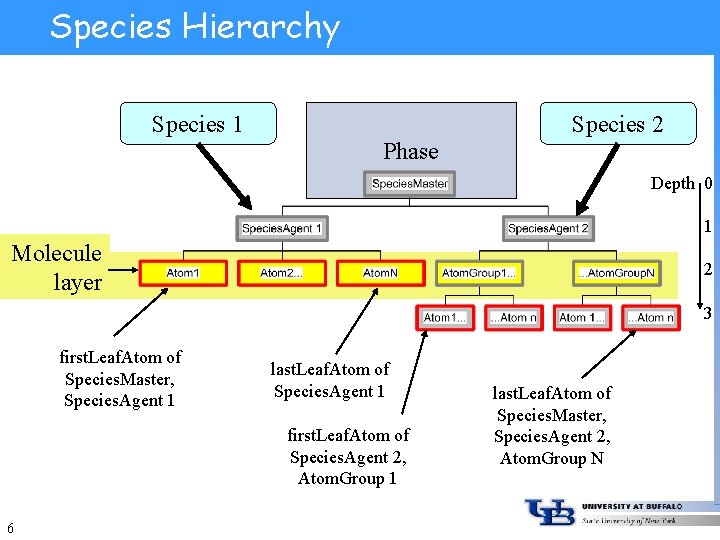 Species Hierarchy Species 1 Species 2 Phase Depth 0 1 Molecule layer 2 3