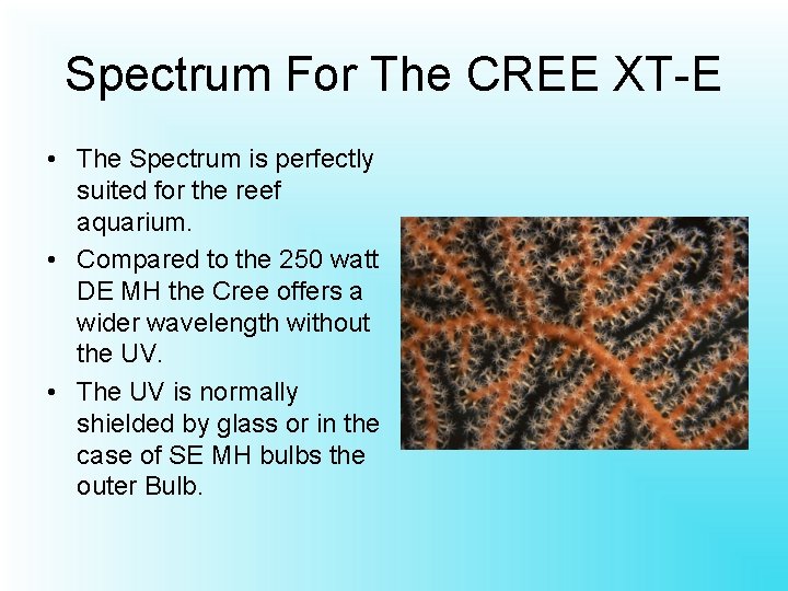 Spectrum For The CREE XT-E • The Spectrum is perfectly suited for the reef