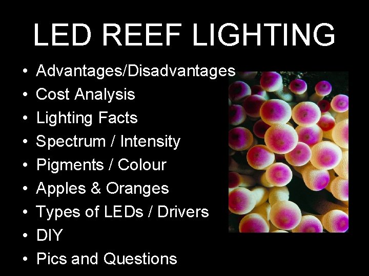 LED REEF LIGHTING • • • Advantages/Disadvantages Cost Analysis Lighting Facts Spectrum / Intensity
