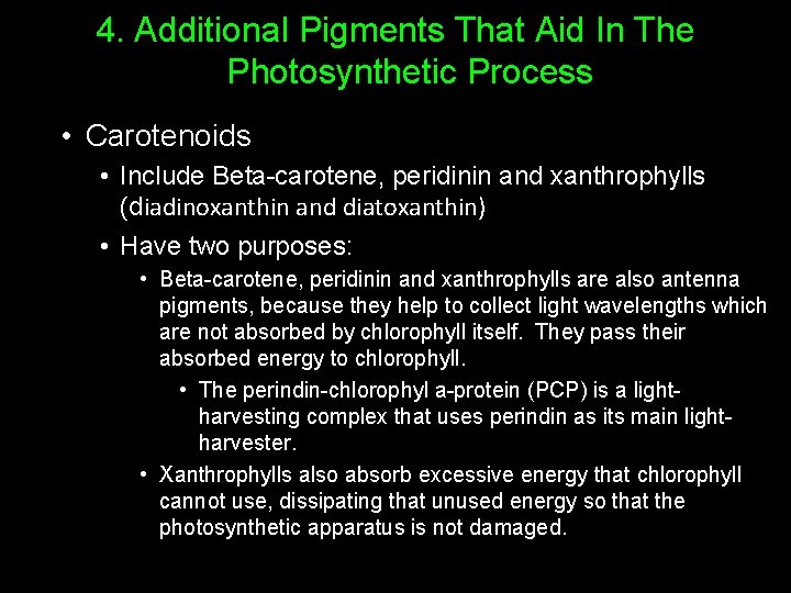 4. Additional Pigments That Aid In The Photosynthetic Process • Carotenoids • Include Beta-carotene,