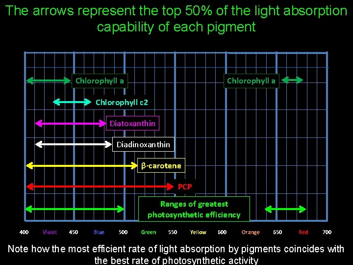 The arrows represent the top 50% of the light absorption capability of each pigment