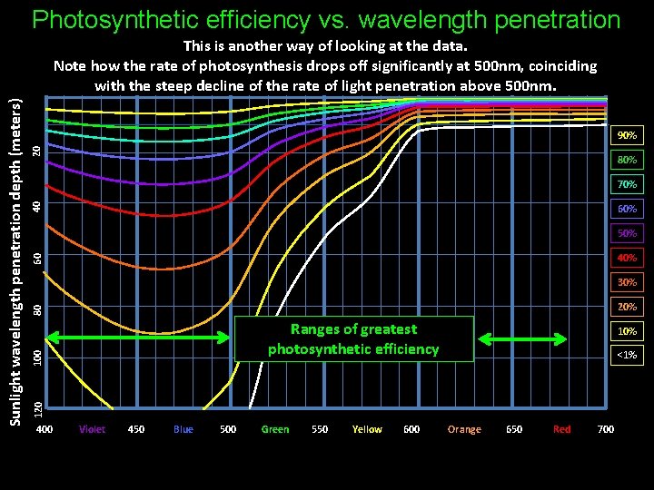 Photosynthetic efficiency vs. wavelength penetration 20 90% 80% 40 70% 60% 50% 60 40%