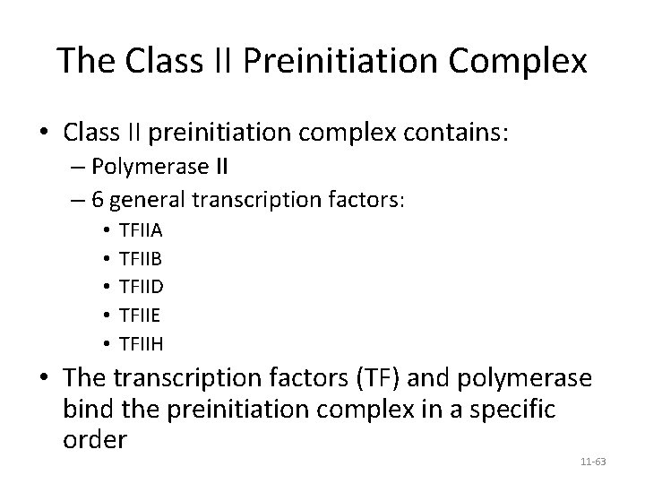 The Class II Preinitiation Complex • Class II preinitiation complex contains: – Polymerase II