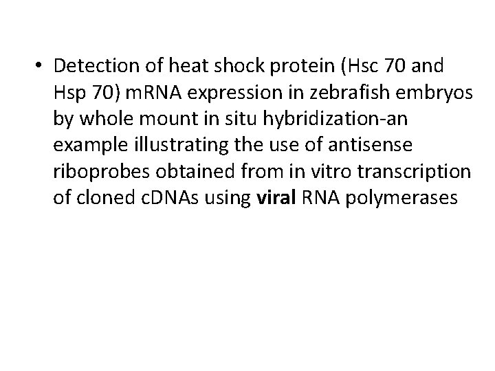  • Detection of heat shock protein (Hsc 70 and Hsp 70) m. RNA
