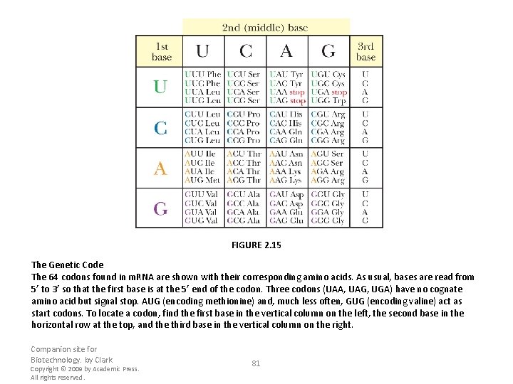 FIGURE 2. 15 The Genetic Code The 64 codons found in m. RNA are