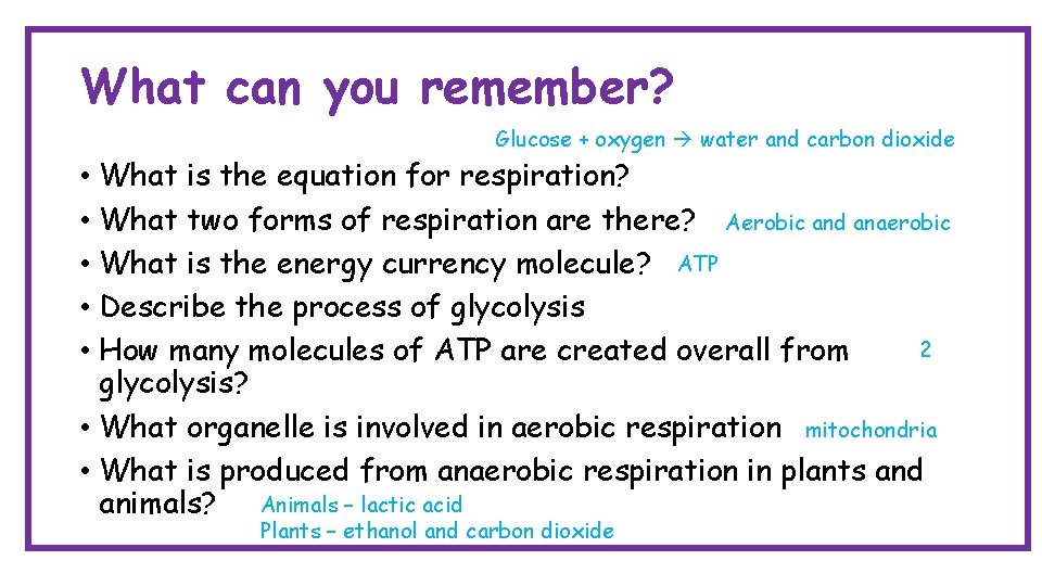 What can you remember? Glucose + oxygen water and carbon dioxide • What is