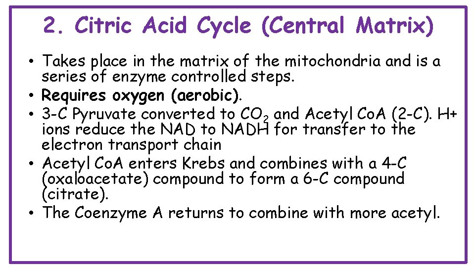 2. Citric Acid Cycle (Central Matrix) • Takes place in the matrix of the