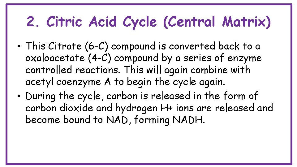 2. Citric Acid Cycle (Central Matrix) • This Citrate (6 -C) compound is converted