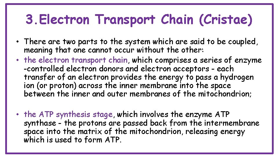 3. Electron Transport Chain (Cristae) • There are two parts to the system which
