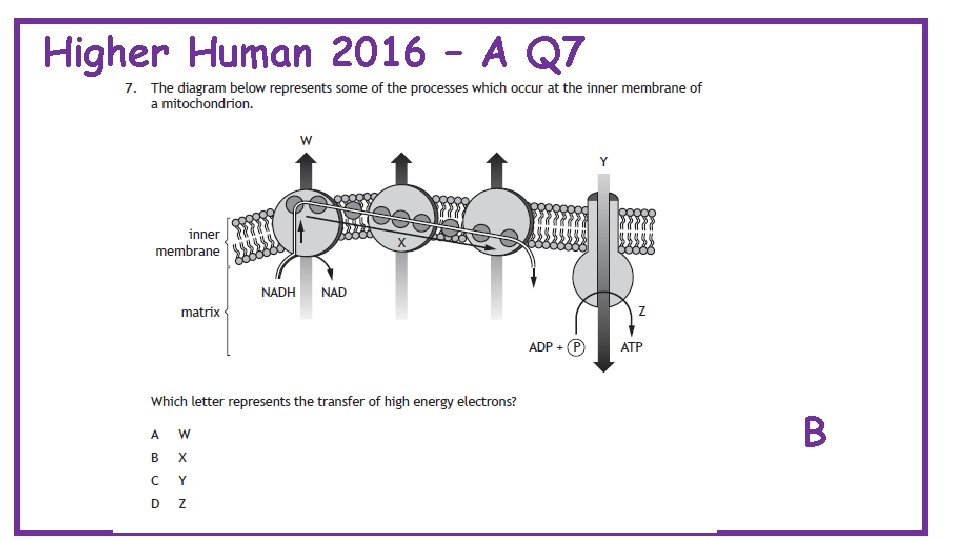 Higher Human 2016 – A Q 7 B 