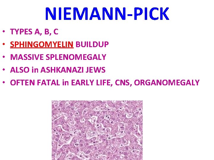 NIEMANN-PICK • • • TYPES A, B, C SPHINGOMYELIN BUILDUP MASSIVE SPLENOMEGALY ALSO in