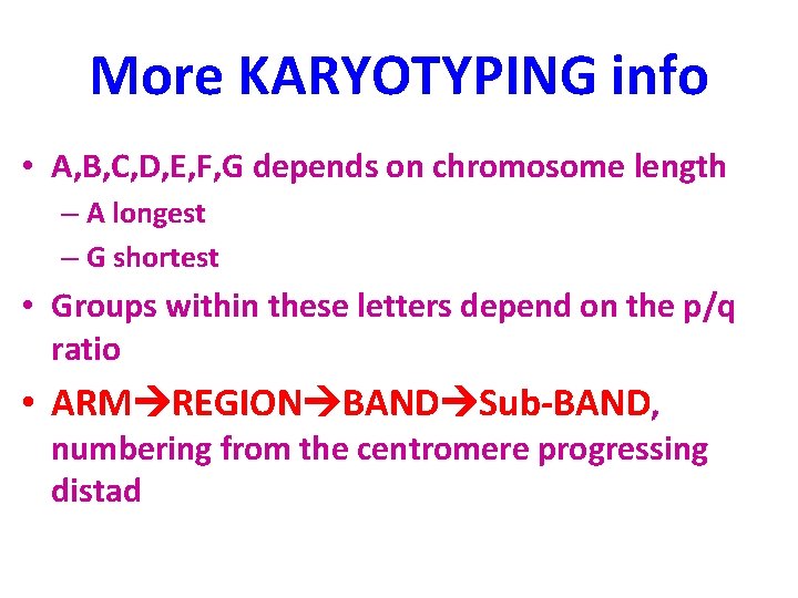 More KARYOTYPING info • A, B, C, D, E, F, G depends on chromosome